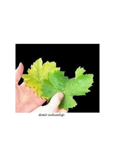 Demir Gübresi Fenomen (1 KG)(%26 Demir Içerikli)