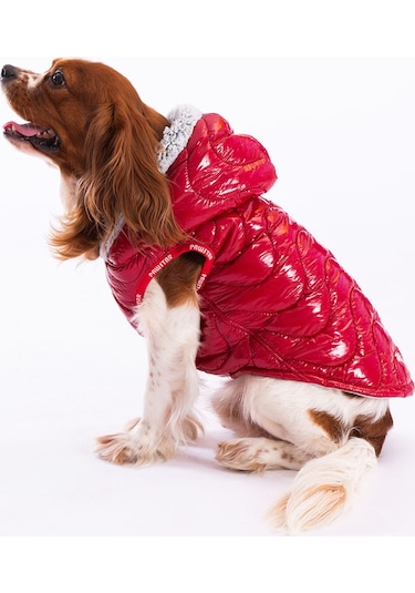 Pawstar Kırmızı Light Wave Anorak Yelek Köpek Yeleği