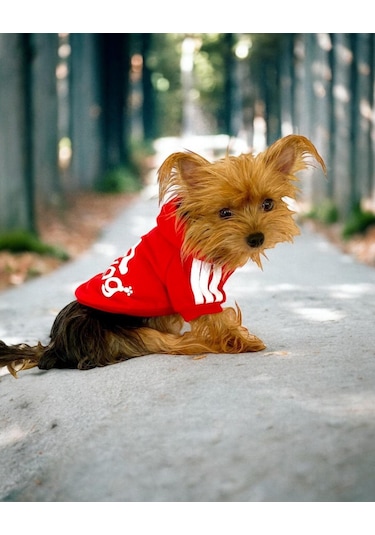 Kemique Red Adidog Kapşonlu Sweatshirt Köpek Kazağı