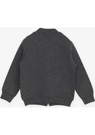 Breeze Erkek Çocuk Hırka Basic Cepli Armalı 2-6 Yaş, Füme-füme