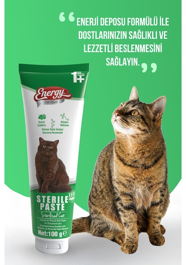Energy Paste Kısırlaştırılmış Kediler İçin Yüksek İçerikli 100 G