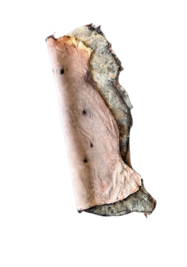 Gerçek Koyun Postu Kısa Tüylü Kahve Sarı 100x70 Cm