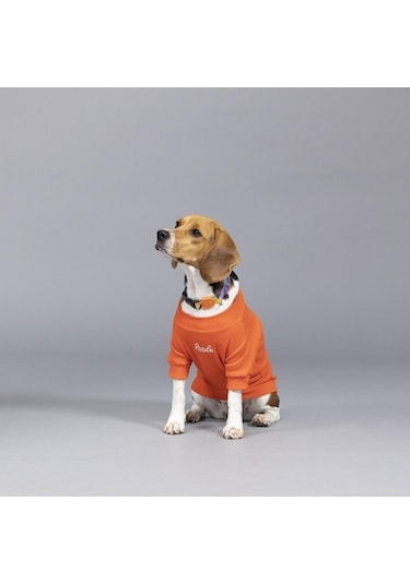 Flex Always Stay Free Küçük Ve Orta Irk Köpek Tshirt
