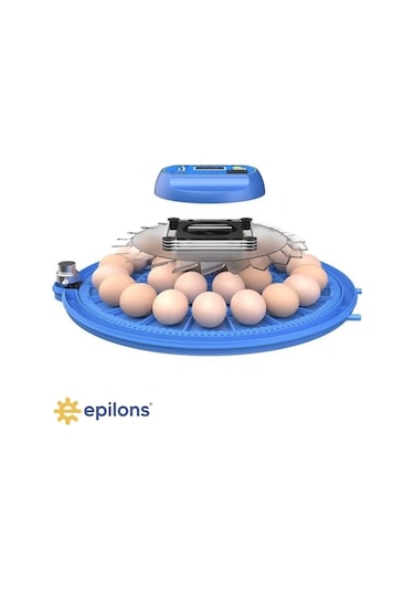 80 Tavuk 240 Kuş Yumurta Kapasiteli Çift Viyollü Kuluçka Makinesi - Kaz, Ördek, Tavuk, Bıldırcın İçi