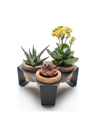 Halohope Metal Stantlı 3'lü Skulent Saksısı Siyah Saksılık