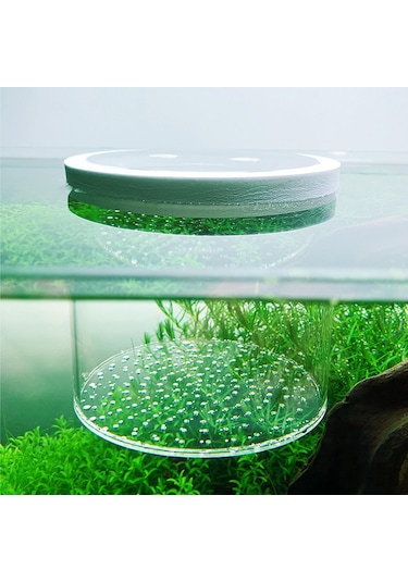 Suntek Yüzen Akvaryum Damızlık Kutusu Akrilik 15cmx12cm