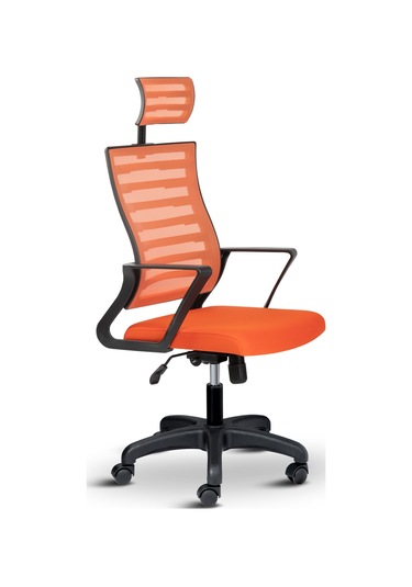 Asbir Mobilya Capri  Başlıklı Ev Ofis Koltuğu Çalışma Koltuğu