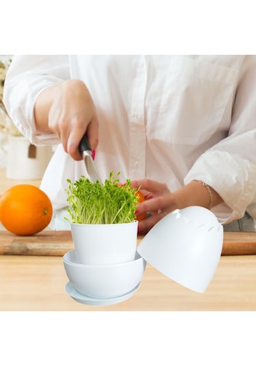 Suntek Tohum Filizleme Kabı Bezelye Bahçesi Kapaklı Depolama