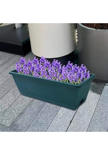 Pazly Yeşil Suntek Pencere Parça Kutusu Kapalı Tohum Ekici 2 Zd