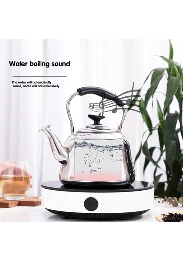 Sones Paslanmaz Çelik Düdüklü Tencere Endüksiyonlu Ocak Ev Klasik Piyano Sesi Şarkı Söyleme Tencere Manyetik Isıtma Olmadan, Kapasite: 2l