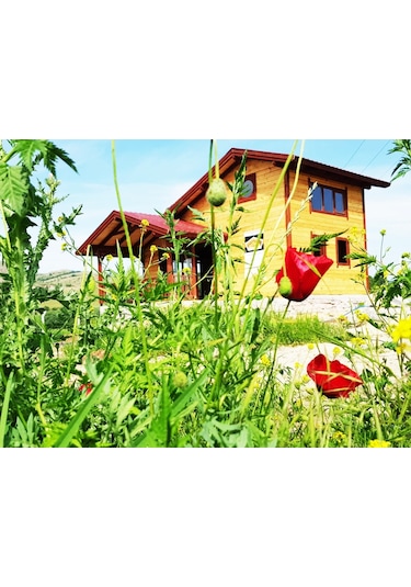 Masifev Orion Ahşap Ev 50M2