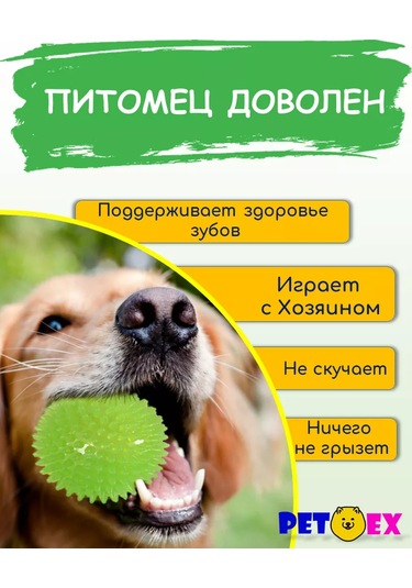 Pet-ex Dikenli Köpek Topu 7 Cm 193092539