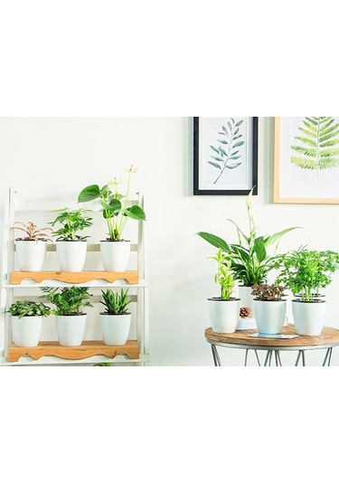 Tembel Saksılar Otomatik Su Emici Hidroponik Saksı Bitkileri Dairesel Reçine Plastik Saksılar Çift Katmanlı Tasarım Kendi Kendini Sulama Ekici, Çap: 11cm, Yükseklik: 10.3cm Beyaz