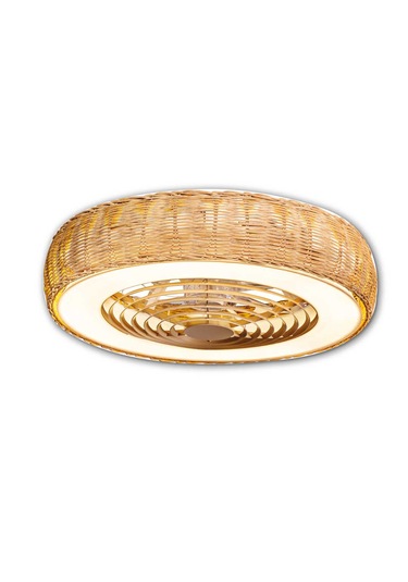 Ledli Tavan Vantilatörü Vl7 Dış Mekana Uygun