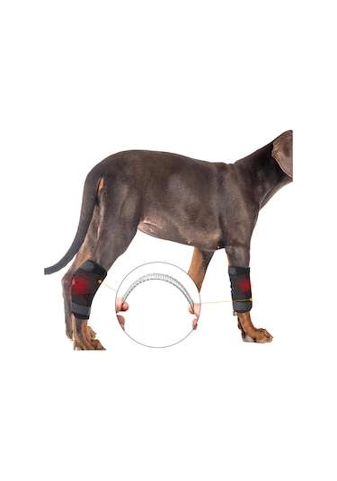 Homyl Artritten Stabilite Kaybı Için Köpek Bacak Brace Destek