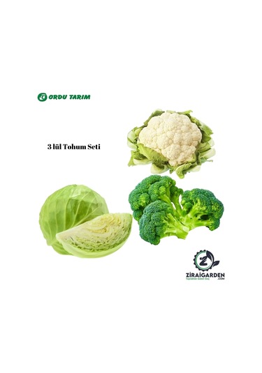 Agrokar Brokoli Tohumu 5gr-agrokar Karnabahar Tohumu 5 Gr-bursa Tohum Bt Bafra Beyaz Lahana 25gr