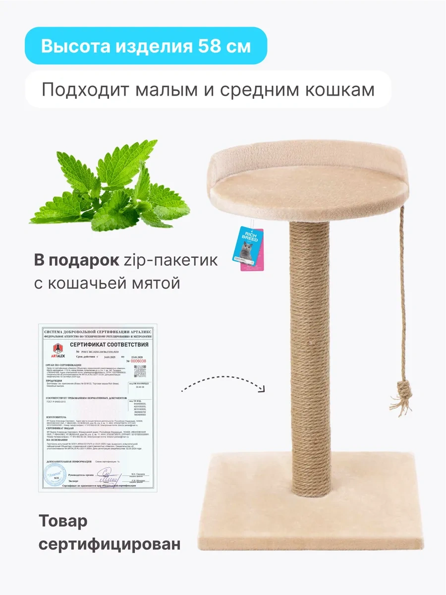 Rıch Breed Kedi Tırmalama Direği Masası Zeminli Dinlenme Yatağı 74628083