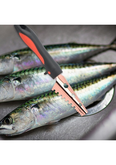 Suntek Magideal Balık Pulu Sökücü Rose Gold