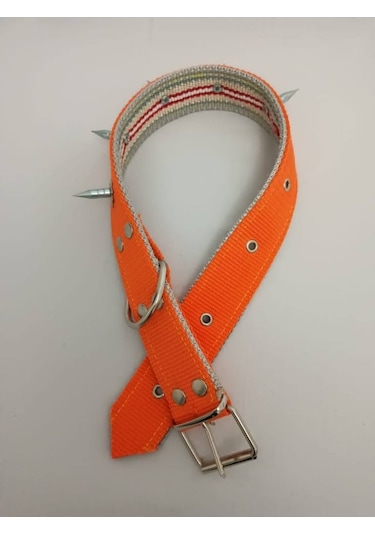 Kozaklı 10458 Çivili Süslü Köpek Tasması Turuncu 70 x 4 CM Turuncu