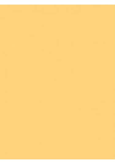 Wagner Boya Wabıesılan Silikonlu Dış Cephe Boya 2,5 Lt