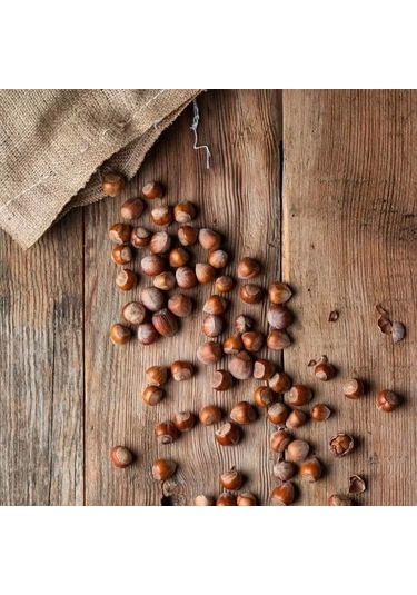 Nutas Kabuklu Fındık Jüt Çuval 1 KG