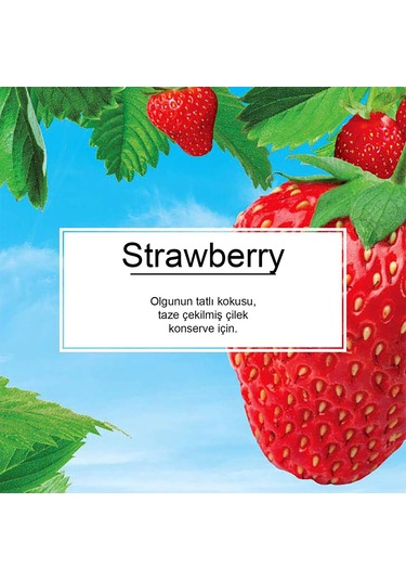 Little Trees Strawberry Çilek Aromalı Oto Kokusu 6 Adet