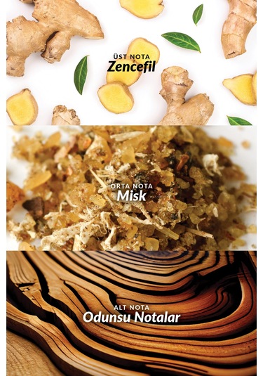 Attraction Erkek Parfüm Ve Saç Vücut Şampuanı Paketi Fresh