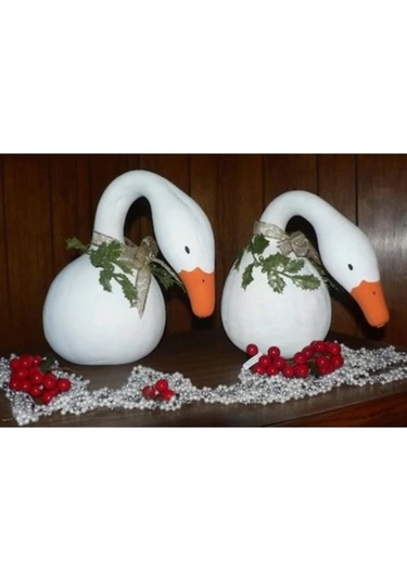 15 Adet Tohum Organik Eğri Kuğu Süs Su Kabak Tohumu Yeşil Su Kabağı Hediye