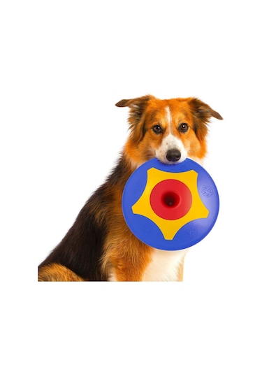 Trotto Disk Köpek Oyuncağı Renkli