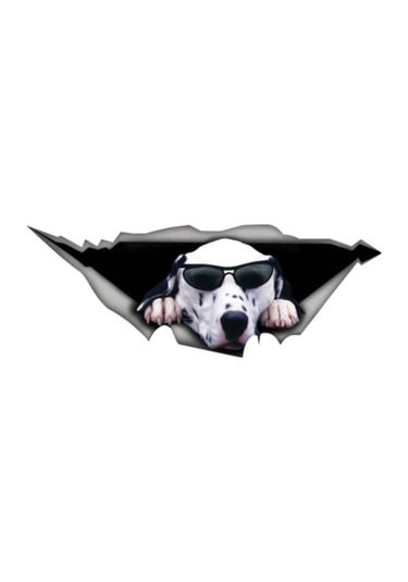 Dalmaçyalı Sevimli Köpek Sticker 20Cm