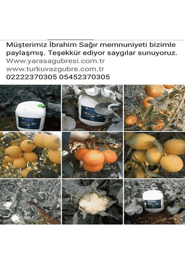 5 L Turkuvaz Bat Power Organik Sıvı Yarasa Gübresi