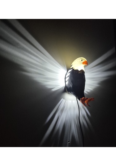 Work3d Adaptörlü Renkli Kartal Aplik Beyaz