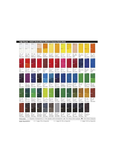 Bigpoint Yağlı Boya 45 Ml Mars Black 791 6'lı Kutu