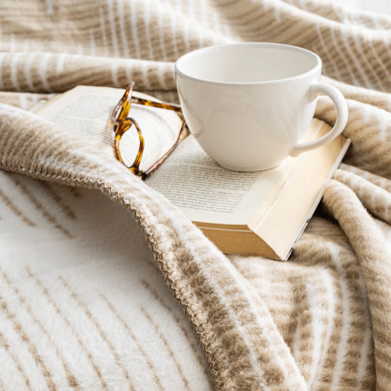 Schafer Home Bloom Tk Battaniye 150x220 Cm 1 Parça-bej Bej