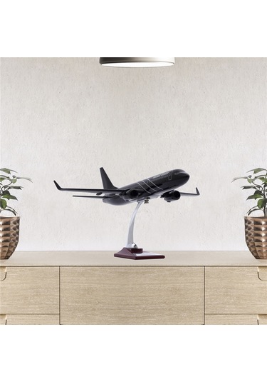 Zekupp - Maket Uçak - Boeing 737-800 1/100 - SİYAH ÖZEL TASARIM Model Uçak