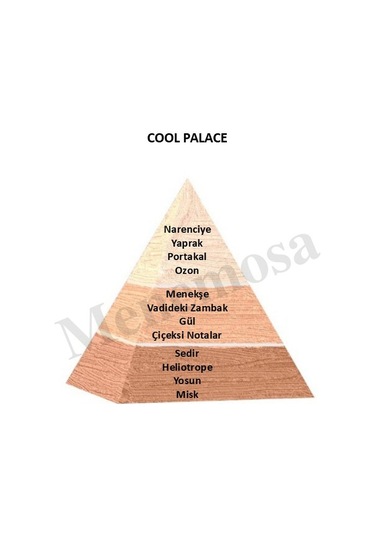 Bahar Çiçeği Dekoratif Oda Parfümü 120ml Cool Place - Bahar Çiçeği Bahar Çiçekleri