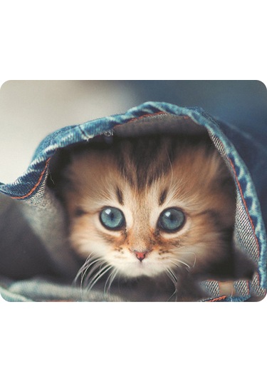 Yaozixa Kedi Desenli 9 Seçenekli, Kaymaz Altlı, Yumuşak Ve Temizlenebilir Oyun/iş Mouse Pad - 180x220x2mm, Bilgisayar/laptop Uyumlu Diğer