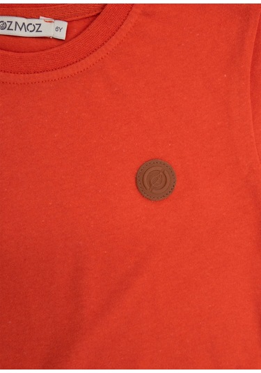 Erkek Çocuk Uzun Kollu Orange Tshirt - Reborn