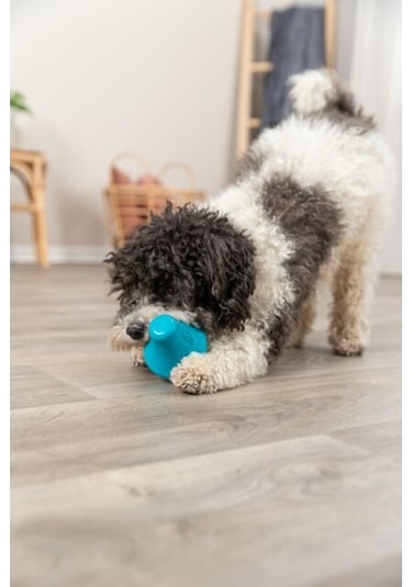 Trixie Naturel Kauçuk Köpek Oyuncağı Ödül Hazneli 12 CM
