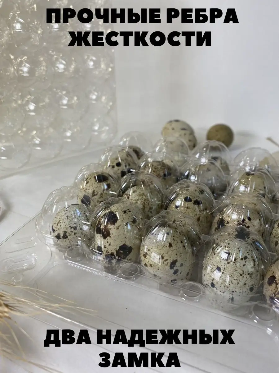 Tpt Paketleme, Bıldırcın Yumurtası İçin 20 Gözlü Tepsi - 50 Adet 120856033 Beyaz