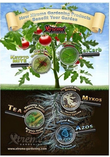 Mykos Micoriza 100 G