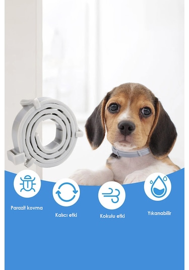 Kedi Anti Pire Kene Önleyici Tasma 38 Cm Pire Önleyici Tasma Kene Önleyici Tasma