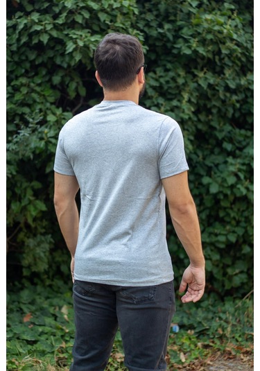 Erkek Gri Çizgi Baskılı Normal Kesim Bisiklet Yaka Erkek Tişört 22etshmros 001