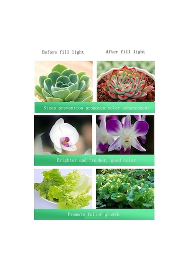 Tongxida 10w Kesik 80mm Led Bitki Büyüme Işığı, Keskin Spektrum Diğer