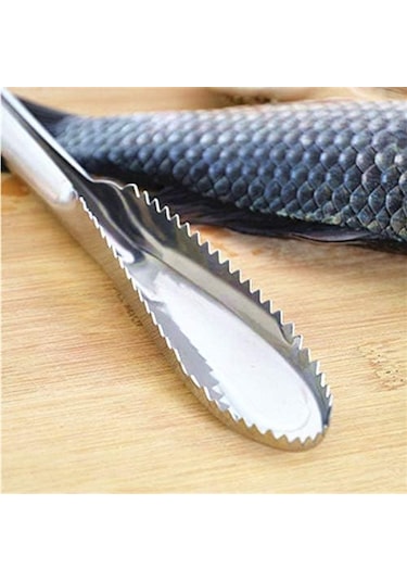 Pratik Balık Pulu Kazıyıcı Aparat Diğer