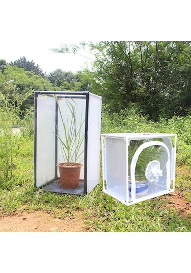 Reedark Pvc Çerçeveli Kelebek/boğağa Kafesi Bitki Ve Böcek Yetiştirme İçin Özel Boyut Oluşturulabilir Dayanıklı Ve Kolay Montajlı
