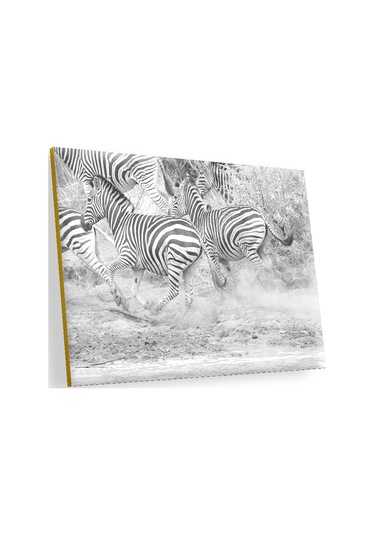 Cakasepetim Su Kenarında Kaçan Zebralar Siyah Beyaz Ahşap Mdf Tablo
