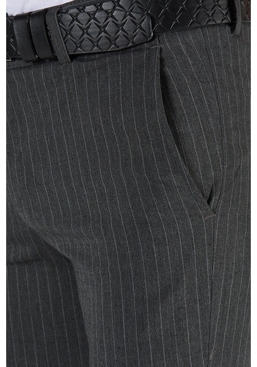 Terapi Men Erkek Antrasit Slim Fit Dik Çizgili Keten Pantolon Çok Renkli3