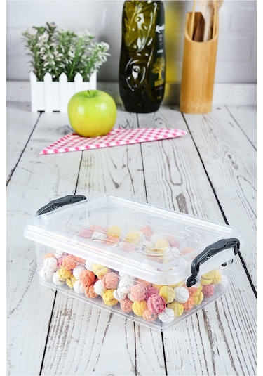 Klips Saklama Kabı-şeffaf