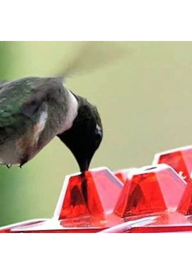 Dofolink 2 Adet Kırmızı Kolibri Besleyici - Kolay İzleme, Kolay Doldurma Ve Temizleme Özellikli Yemleme Aleti